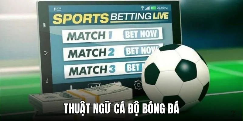 Danh Sách Các Thuật Ngữ Cá Độ Bóng Đá Thường Gặp 2025